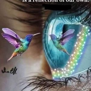 Meet your Posher, Shelley